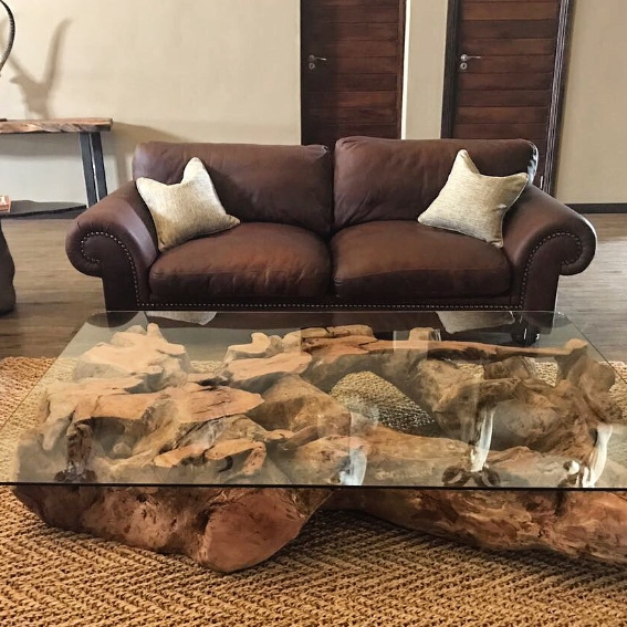 Teak Root Coffee Table